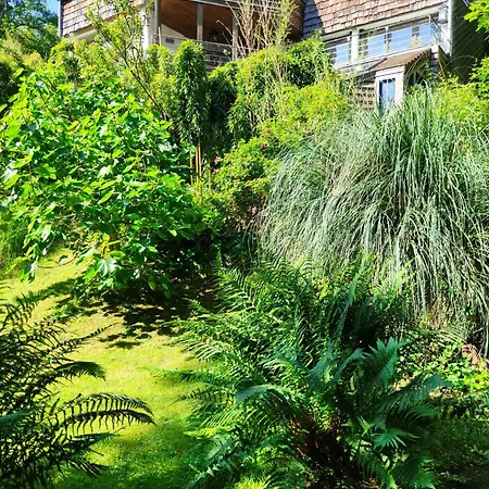 Bed & Breakfast Maison Des Bois Bievres