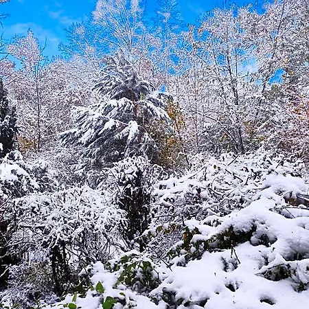 Maison Des Bois 3* Bievres