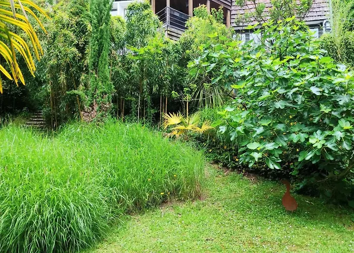 Maison Des Bois Bed & Breakfast 3*