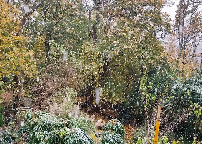 Bed and Breakfast Maison Des Bois